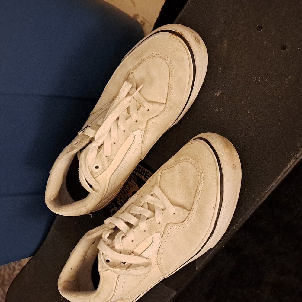 Men's 12 Van's ProSkate Shoes